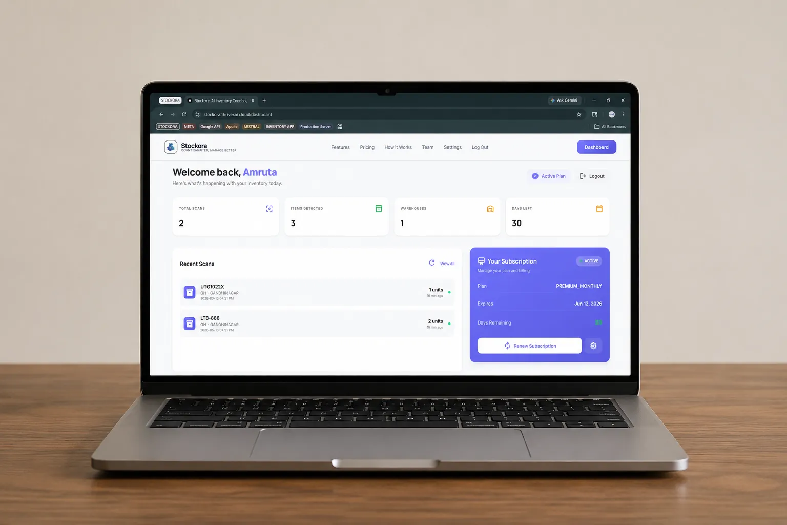 Dashboard & Export